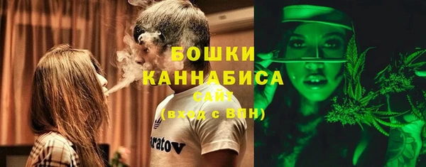мяу мяу мука Белокуриха