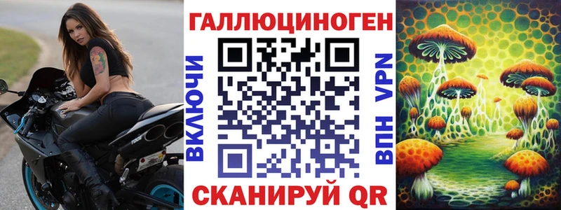 Галлюциногенные грибы Psilocybe  omg ССЫЛКА  Светогорск 